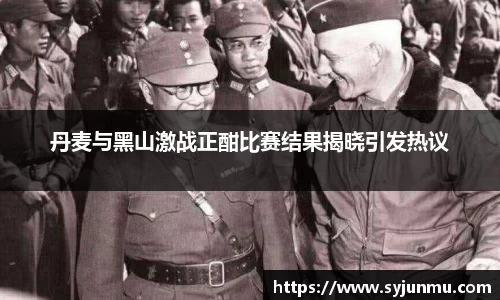 丹麦与黑山激战正酣比赛结果揭晓引发热议